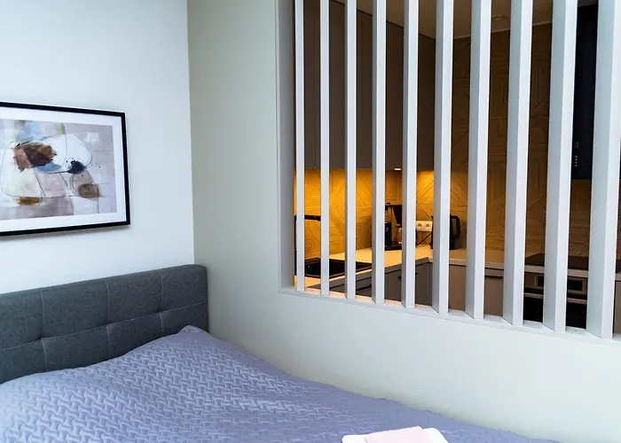 Tulbi 公寓 派尔努